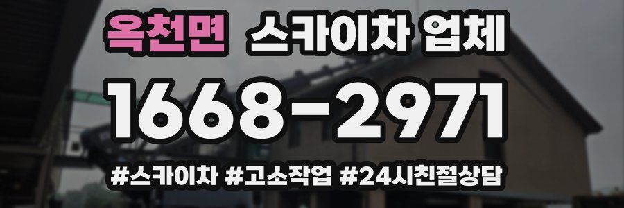 옥천면 스카이차 업체