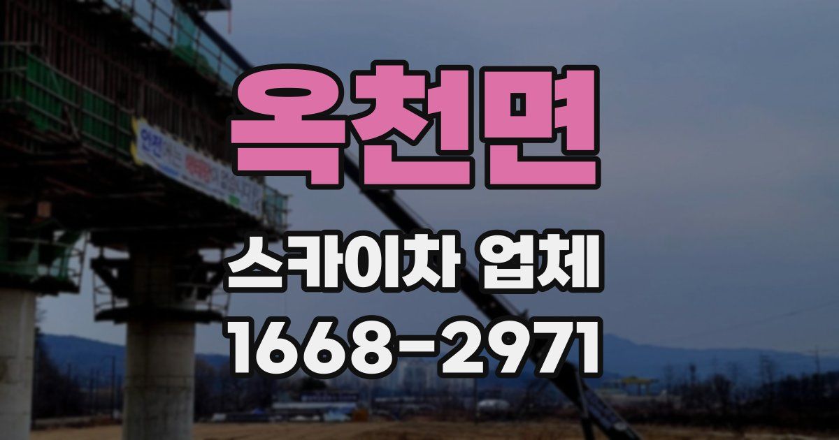 옥천면 스카이차 업체