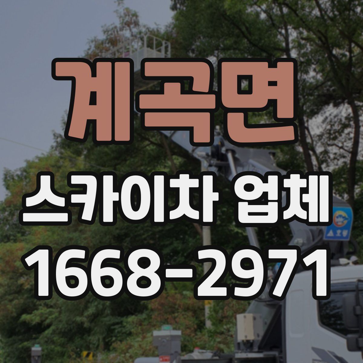 계곡면 스카이차 업체