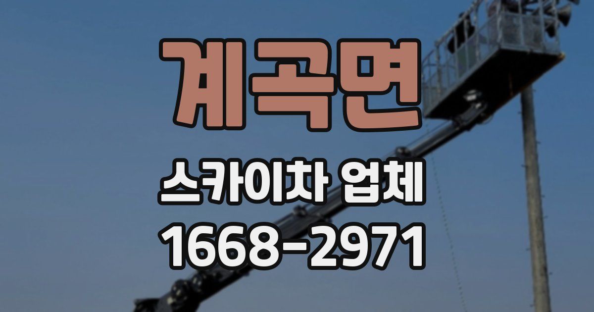 계곡면 스카이차 업체
