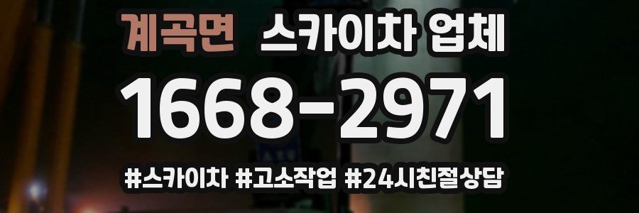 계곡면 스카이차 업체