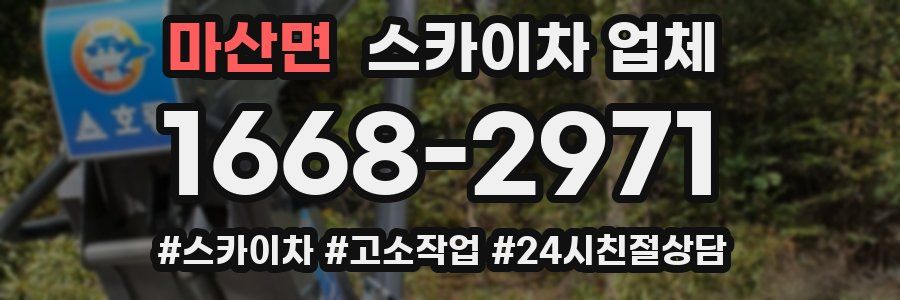 마산면 스카이차 업체
