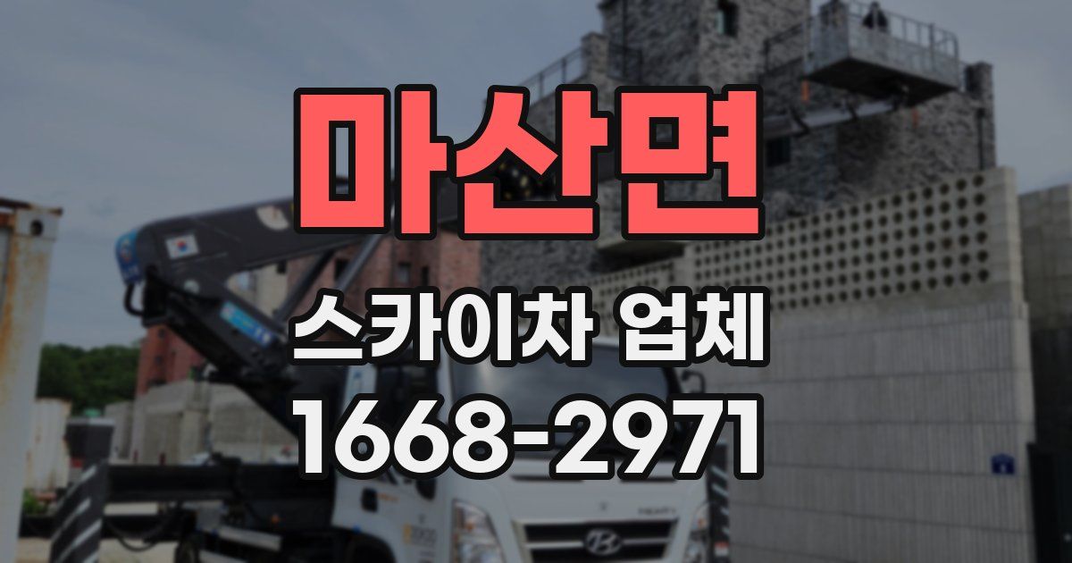 마산면 스카이차 업체