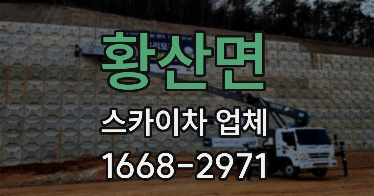 황산면 스카이차 업체