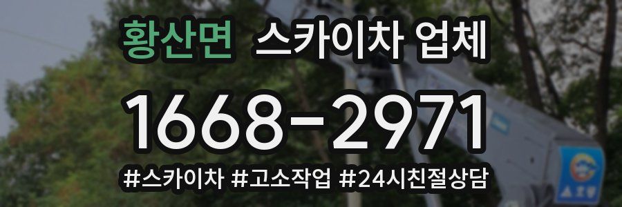 황산면 스카이차 업체