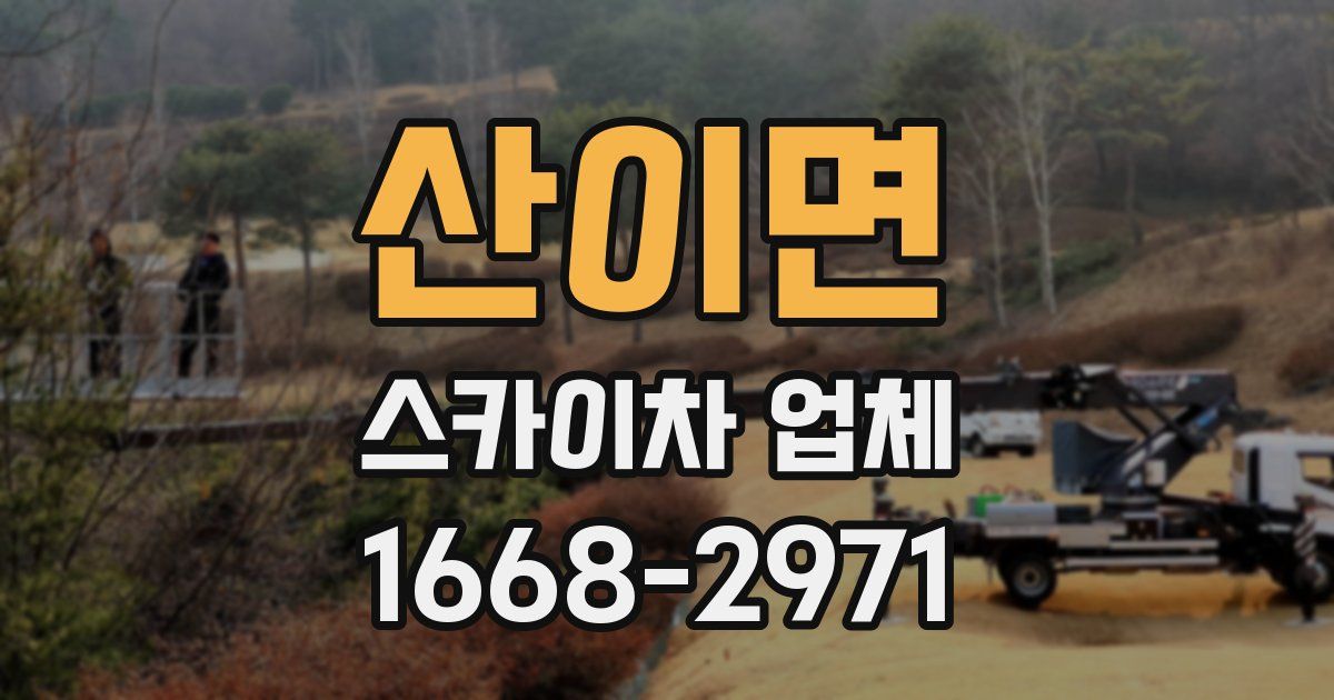 산이면 스카이차 업체