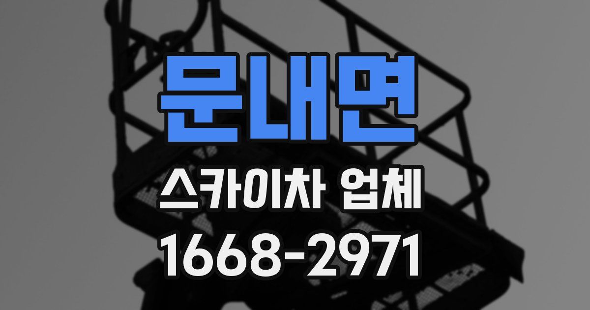 문내면 스카이차 업체