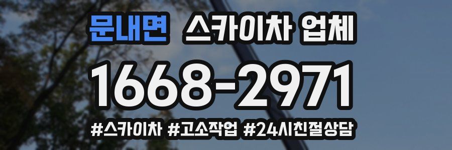 문내면 스카이차 업체
