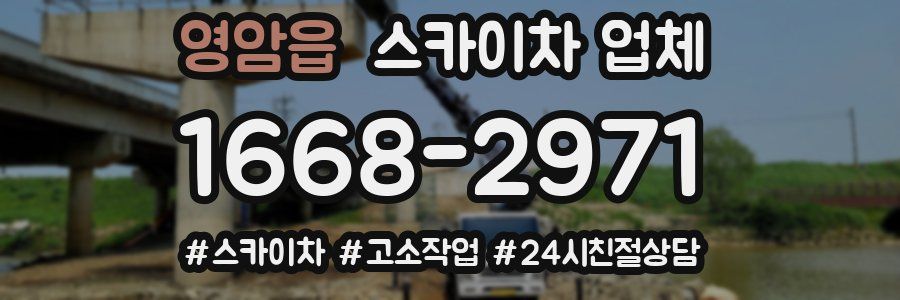영암읍 스카이차 업체