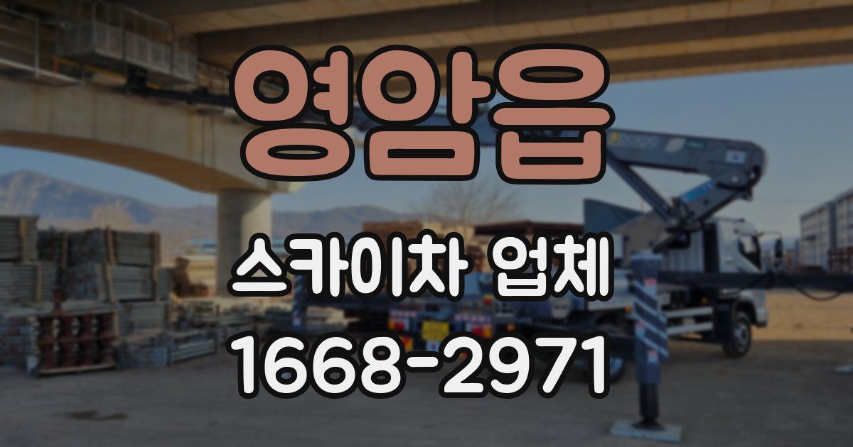 영암읍 스카이차 업체