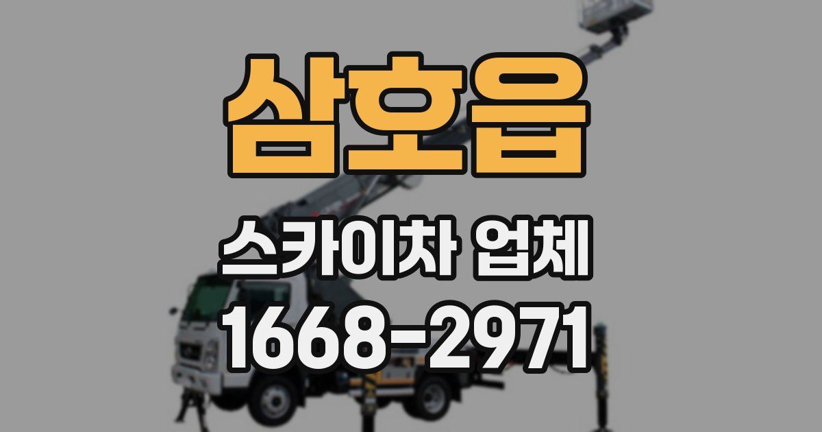 삼호읍 스카이차 업체