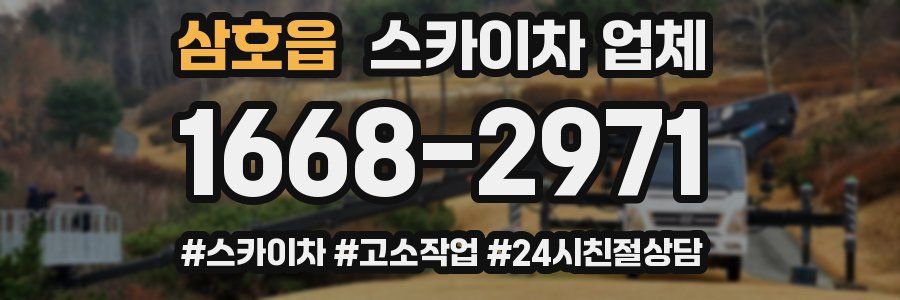 삼호읍 스카이차 업체