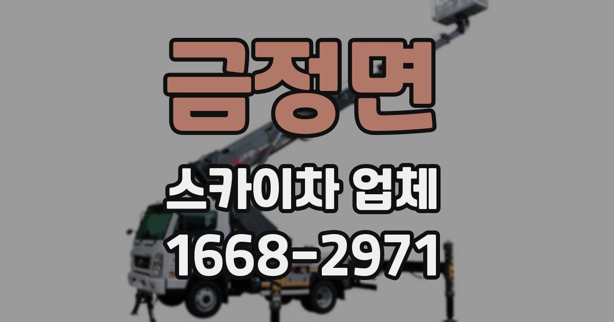 금정면 스카이차 업체
