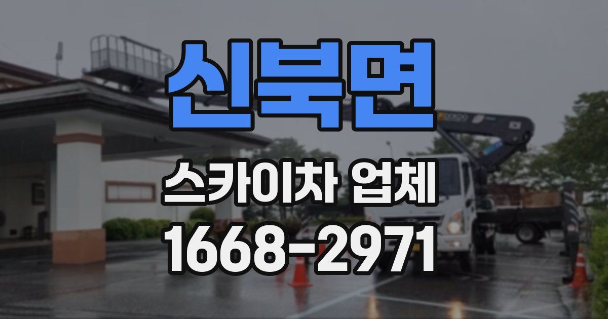 신북면 스카이차 업체