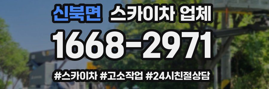 신북면 스카이차 업체