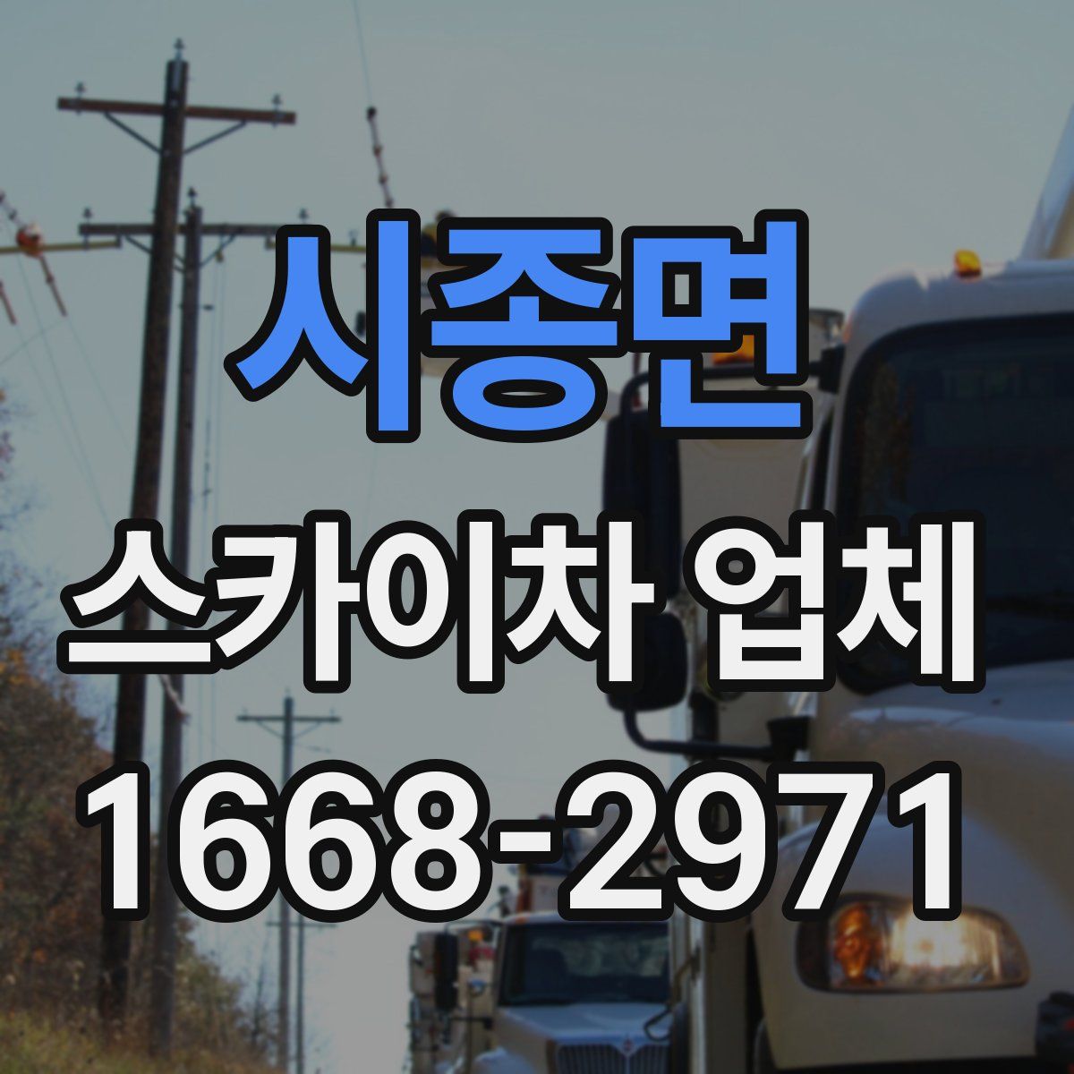 시종면 스카이차 업체