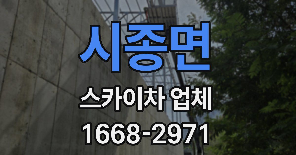 시종면 스카이차 업체