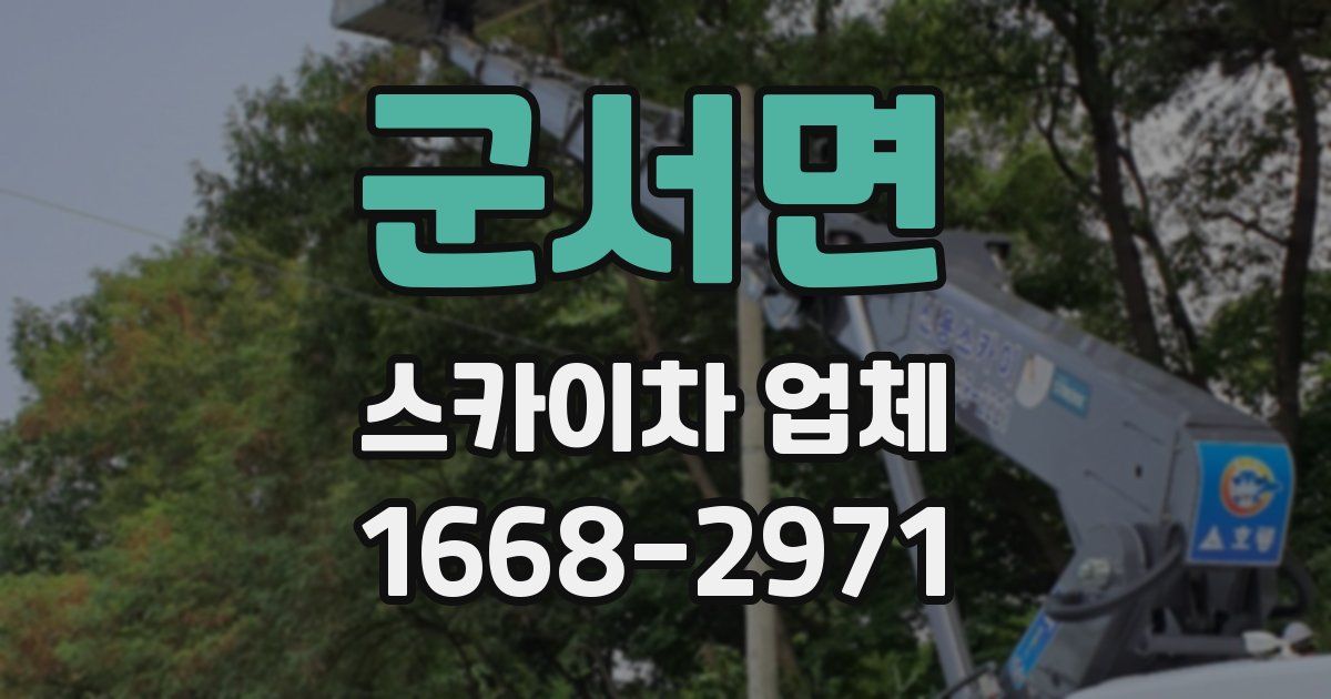 군서면 스카이차 업체