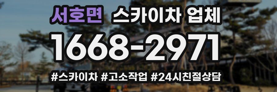 서호면 스카이차 업체