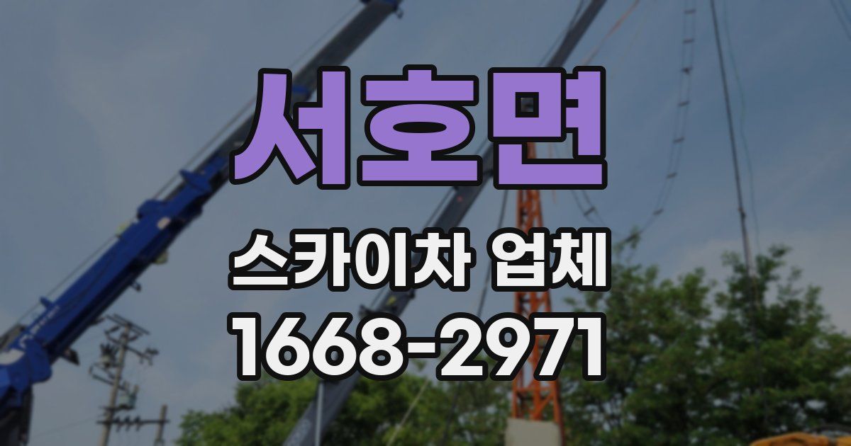 서호면 스카이차 업체