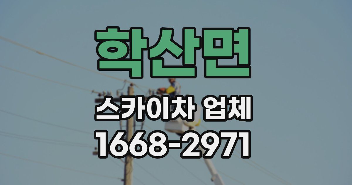 학산면 스카이차 업체