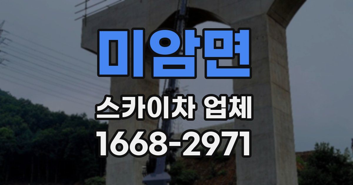 미암면 스카이차 업체