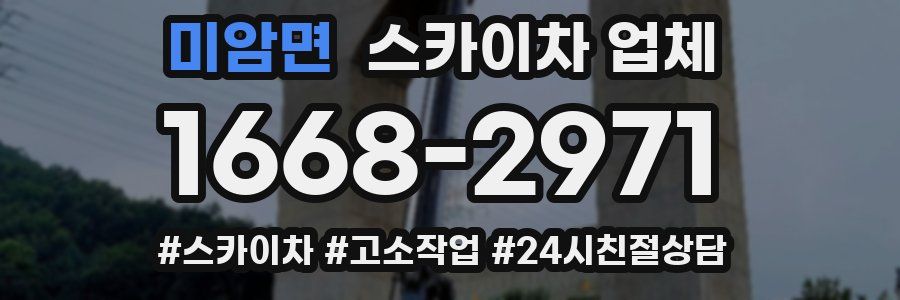 미암면 스카이차 업체