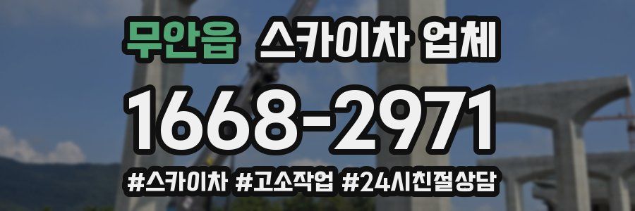 무안읍 스카이차 업체