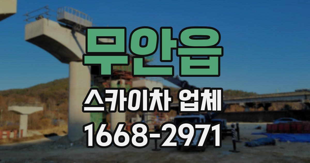 무안읍 스카이차 업체
