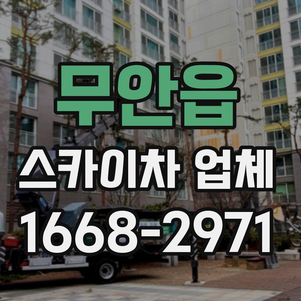 무안읍 스카이차 업체