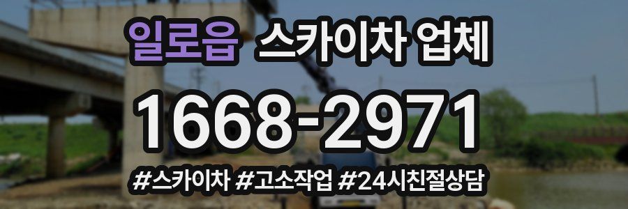 일로읍 스카이차 업체