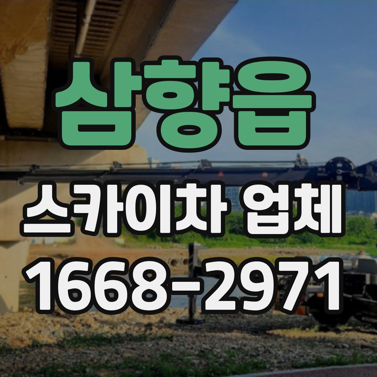 삼향읍 스카이차 업체
