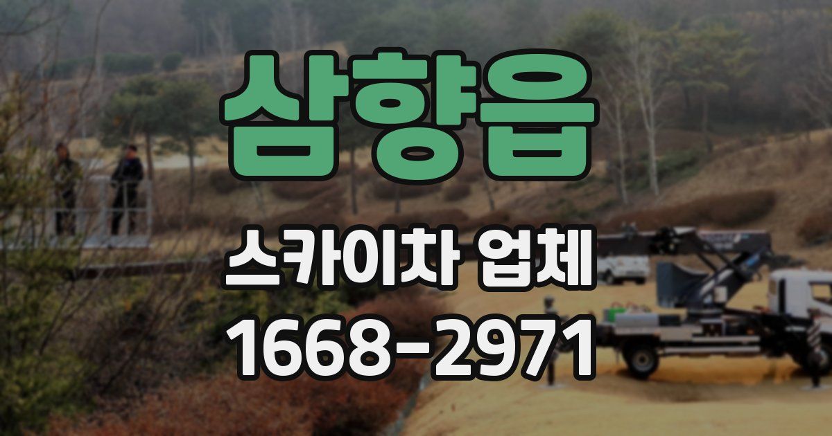 삼향읍 스카이차 업체