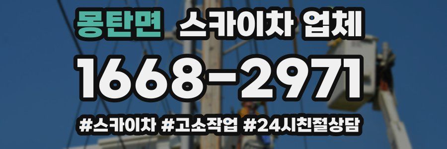 몽탄면 스카이차 업체