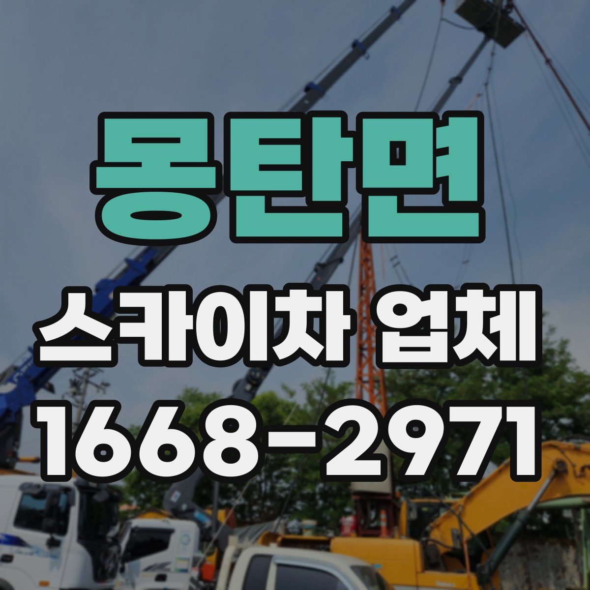 몽탄면 스카이차 업체