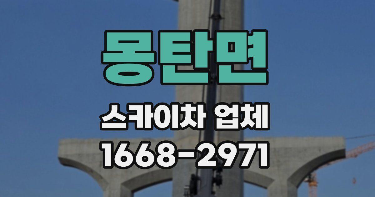 몽탄면 스카이차 업체