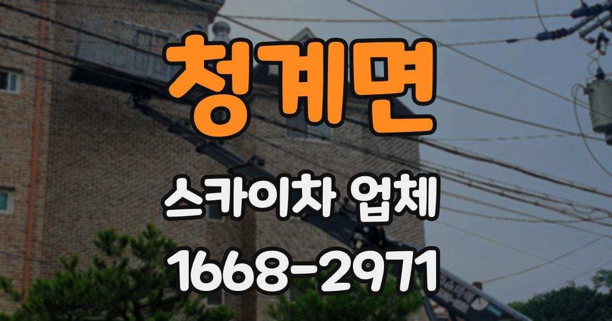 청계면 스카이차 업체