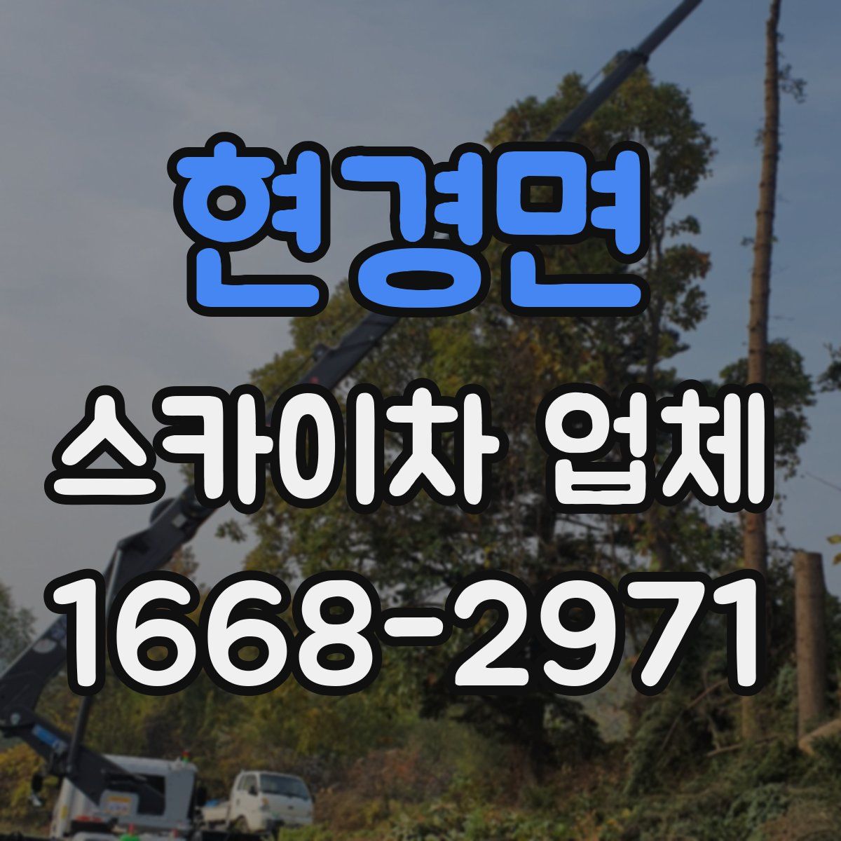 현경면 스카이차 업체