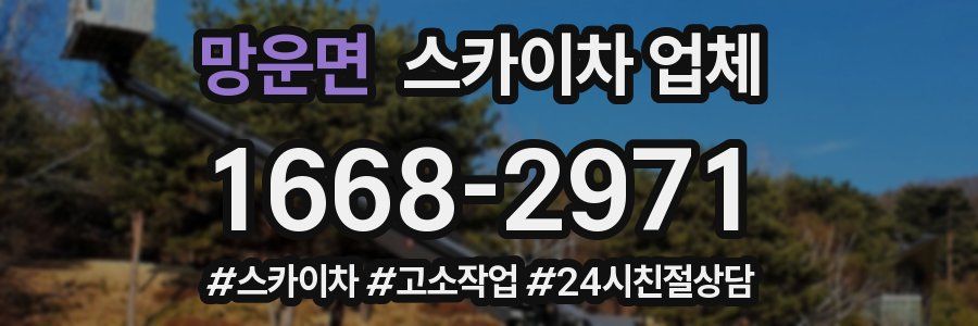 망운면 스카이차 업체