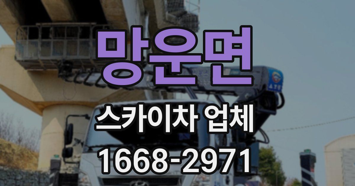 망운면 스카이차 업체