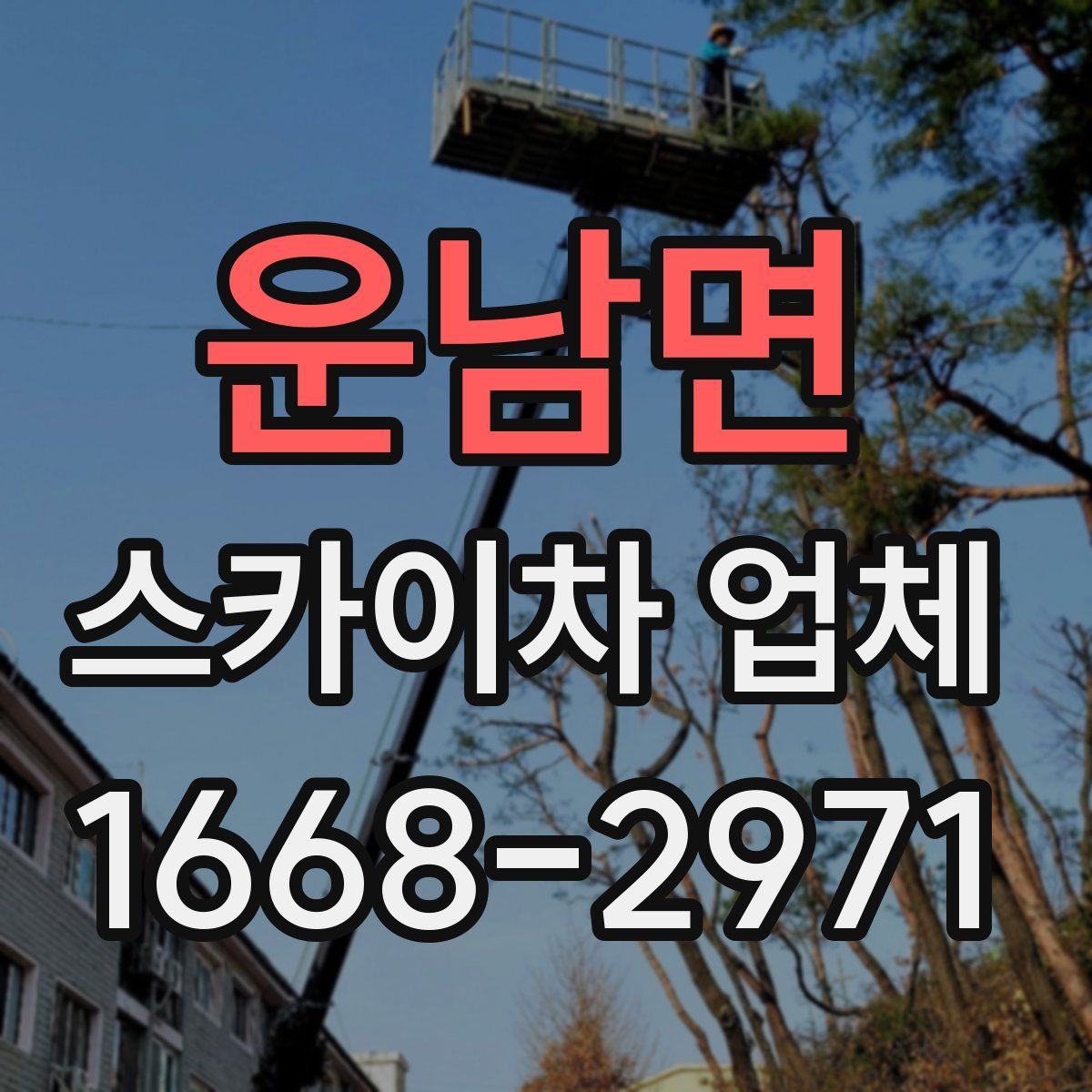 운남면 스카이차 업체