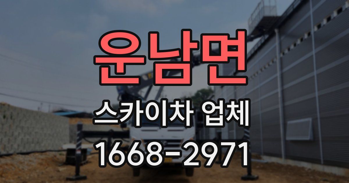 운남면 스카이차 업체