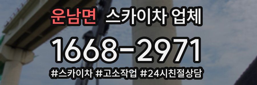 운남면 스카이차 업체