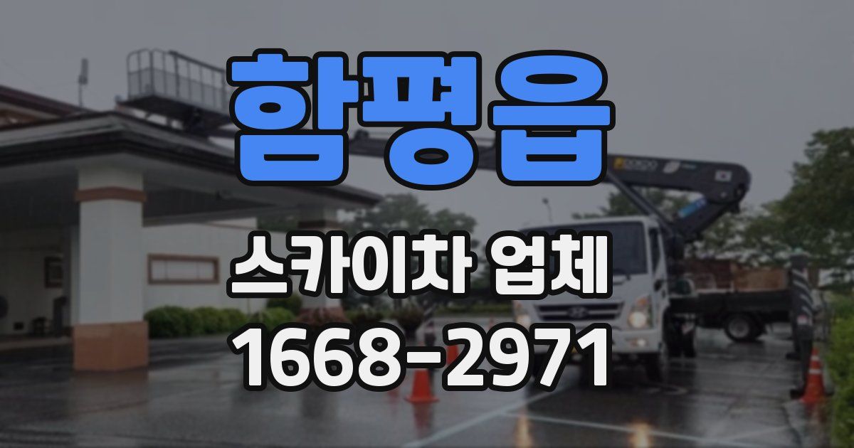 함평읍 스카이차 업체