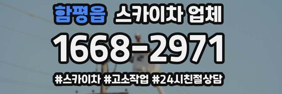 함평읍 스카이차 업체