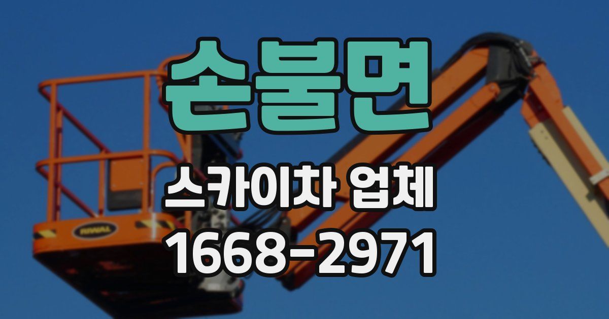 손불면 스카이차 업체