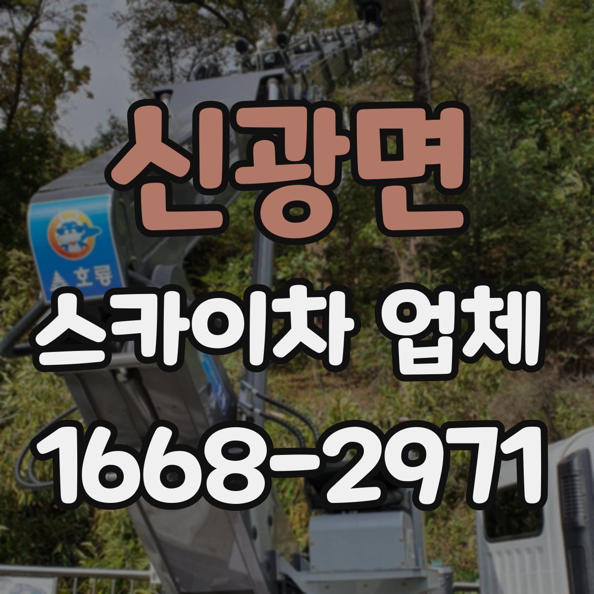 신광면 스카이차 업체