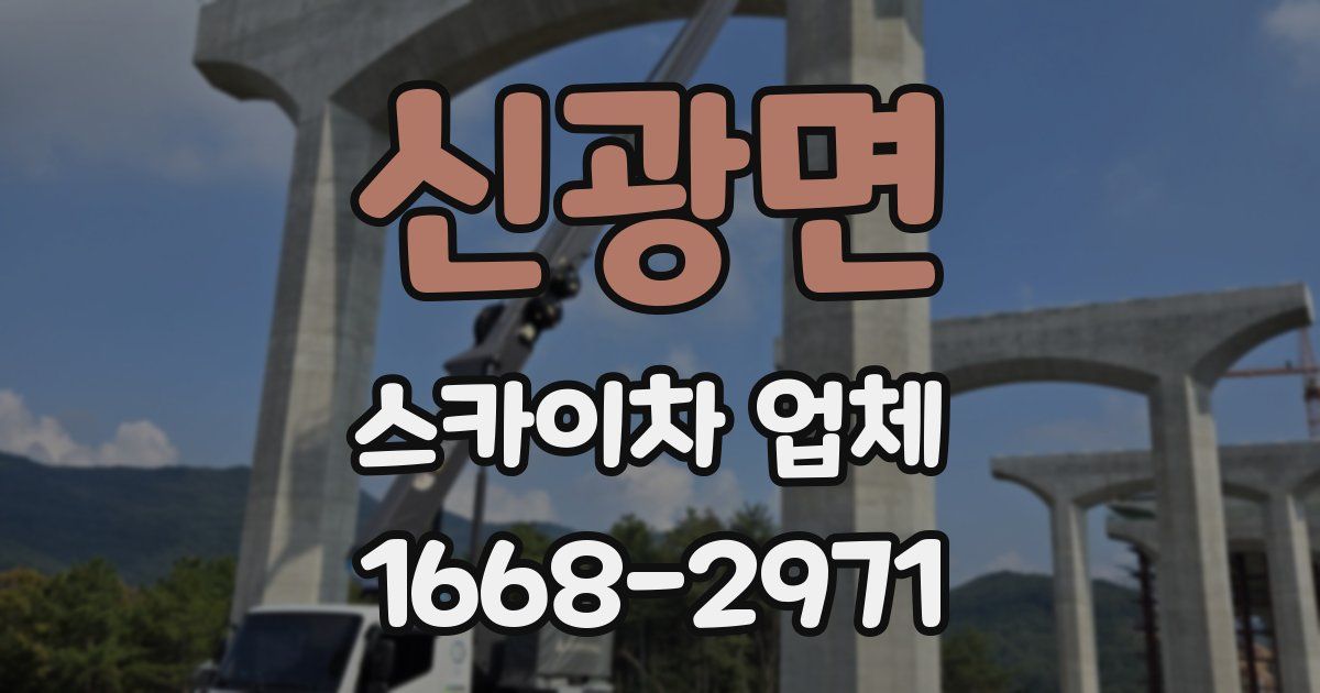 신광면 스카이차 업체