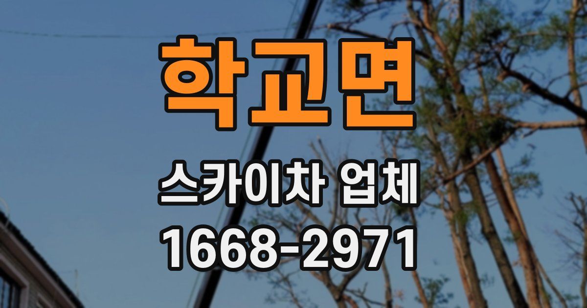 학교면 스카이차 업체