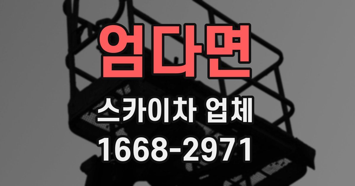 엄다면 스카이차 업체